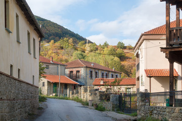 Fototapeta na wymiar Street in the mountainous Kratero village in Florina, Greece, with old stone houses and Autumn colours