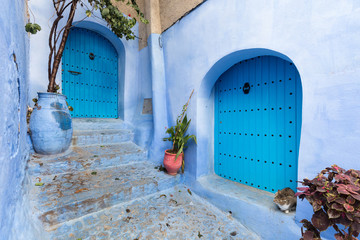 Traditional typical moroccan architectural details in Chefchaouen, Morocco, Africa Beautiful street...