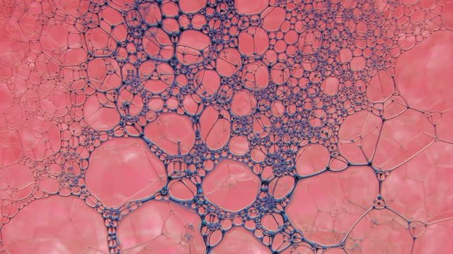 Colorful soap foam with popping bubbles background. Ink filling a mass of bubbles formed in liquid. Abstract biological structure. Unusual wallpaper. Huge batch of puffy, fascinating soap foam pattern