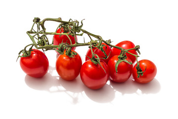 Cherry tomatoes on a green branch