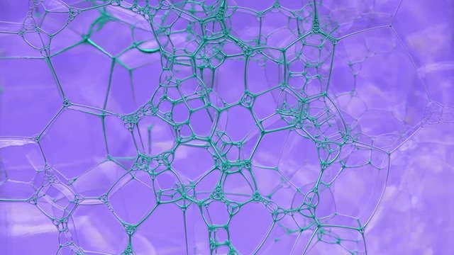 Colorful soap foam with popping bubbles background. Ink filling a mass of bubbles formed in liquid. Abstract biological structure. Unusual wallpaper. Huge batch of puffy, fascinating soap foam pattern