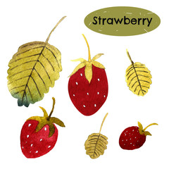 Set with strawberries and leaves. Watercolor illustration