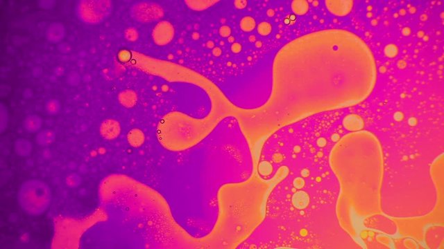 Fantastic structure of colored bubbles. Scientific experiment, chemical reactions. Chaotic motion, bubble flow expansion, curlicue of paints. Psychedelic liquid light show, ink patterns in water + oil