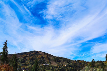 blue sky above mountains, covered with trees. cirrostratus clouds