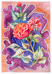 Postcard with a blooming rose. Still life painted with watercolor. The etude (sketch) is made on from life. Red flower.