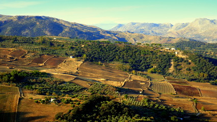 malerische Landschaft bei  Ronda mit Feldern und Bergen im Morgenlicht