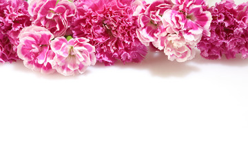 Fototapeta premium カーネーションの花束