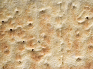 salted cracker biscuit
