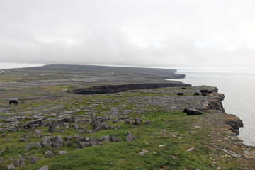 cliffs of aran