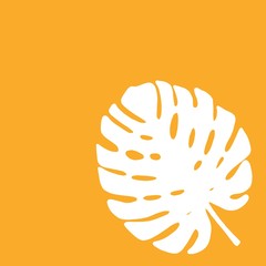 palm leaf in orange background