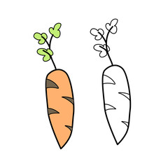 Cute carrot pattern in doodle style, healthy food and natural food.