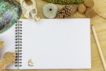 Top view of empty notebook on wooden desk surrounded by natural items leaves, seeds, shells and pencil, green environment eco concept with copy space
