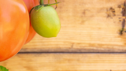 Close up of vine red Roma tomato and unripe green tomato on a wood background, useful for copy space or a web banner, depicting agriculture, farming, gardening, organic produce, or Italian food.