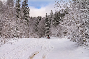Winter landscape - view of the snowy road with a quad bike in the winter mountain forest after snowfall