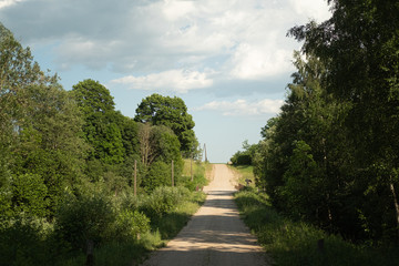 road in the forest