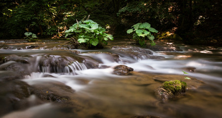 Fototapeta na wymiar Long exposure of the mountain stream 