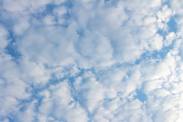 Obraz premium White clouds in the blue sky. Background. Texture