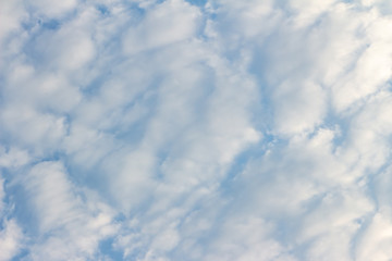 White clouds in the blue sky. Background. Texture
