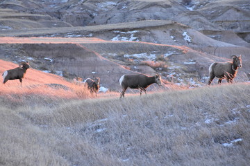 non edited badlands southdakota