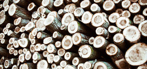 Pile of wood logs abstract pattern background. Stack of cut trees in  forest ready for transport. Timber industrial wallpaper.