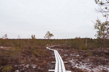 Fototapeta premium Snowy wooden path in a swamp
