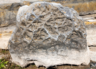 Expressive Rock Stone with Impressions from Ancient Life Forms