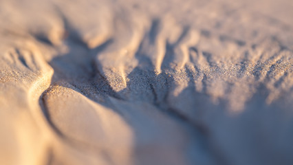 Shallow depth of Field (f/2.0) illustrated in beach sand bathed in soft evening light