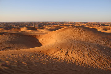 Car traces in desert sand dunes under bright sun and blue evening sky