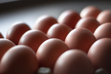 Docena de huevos alineados 