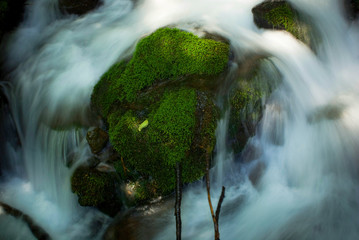 Mossy Stone in Falls