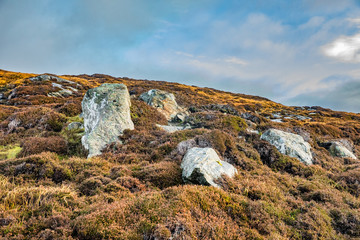 Beautiful View at Hebrides