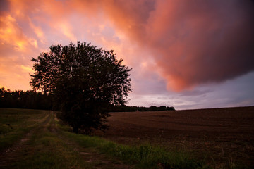 dramatic cloud colouring at sunset