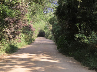Fototapeta premium Road in rural area. Interior of Brazil