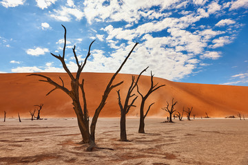 Namibian desert landscape