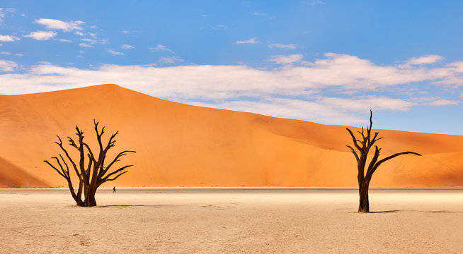 Namibian desert landscape