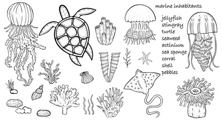 vector set of marine inhabitants - fish, jellyfish, stingray, turtle, corals, algae, sponges