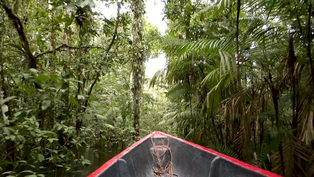 Cuyabeno Wildlife Reserve