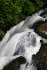 Fototapeta premium Tumwater Fall -02