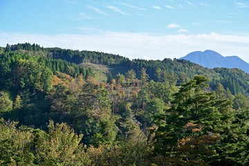 巨大な吊り橋から見る秋の情景＠大分
