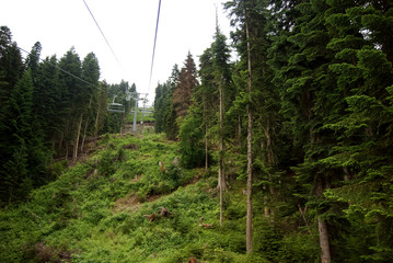 cable way in the forest