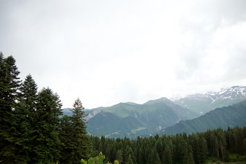 Landscape Georgian mountains green tourism