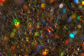 Fototapeta premium oil in water - macro photography with nice colors