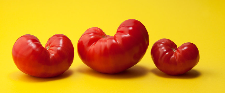 Three tomatoes in the form of a heart on a yellow background. Horizontal orientation.