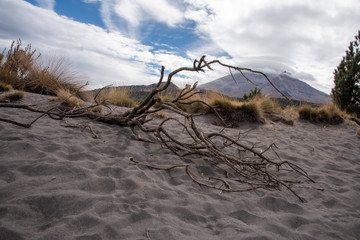 paisaje