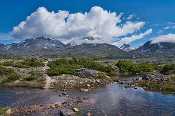 White Pass scenery in summer