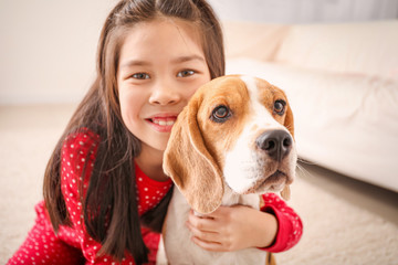 Little Asian girl with cute beagle dog at home