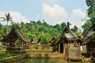 Fototapeta na wymiar village ponds between residents' houses in Tasikmalaya, West Java, Indonesia