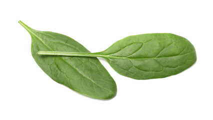 Fresh spinach on white background