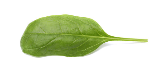 Fresh spinach on white background