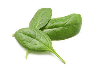 Fresh spinach on white background